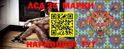 a pvp Малгобек
