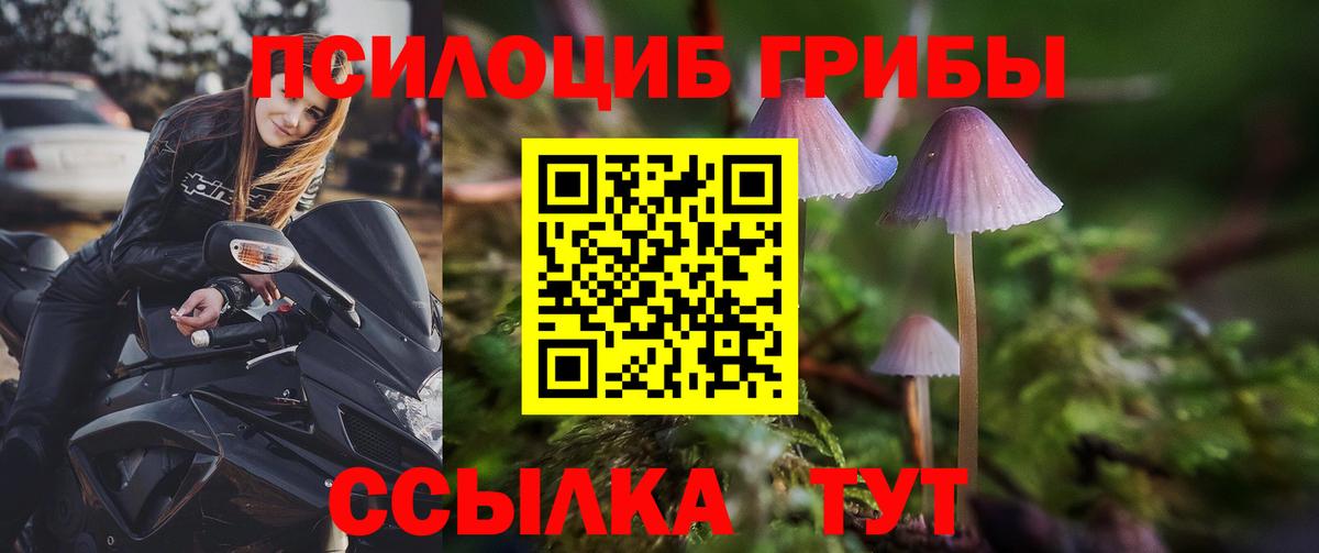 Галлюциногенные грибы Psilocybine cubensis  Вход с VPN  Звенигород 