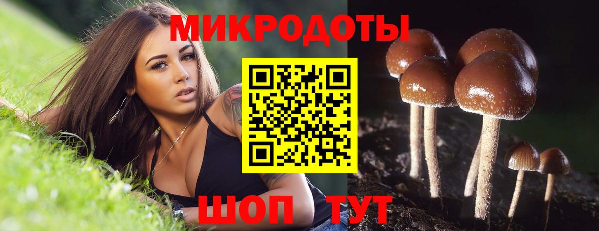 Псилоцибиновые грибы Psilocybine cubensis Звенигород
