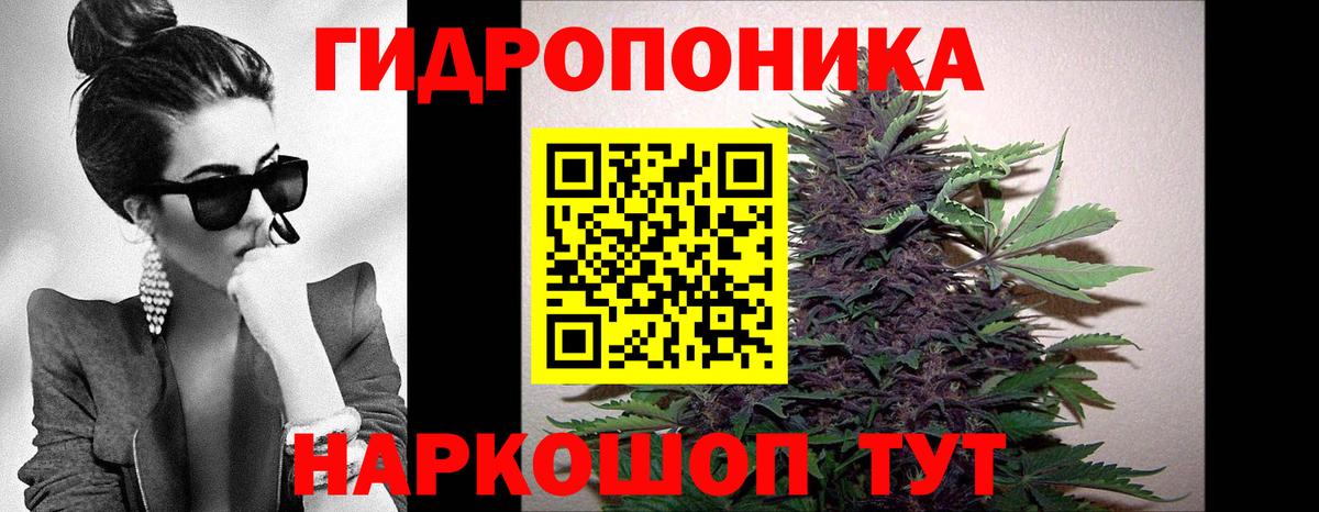 Бошки марихуана Bruce Banner  Шишки марихуана SATIVA & INDICA  Бошки Шишки Amnesia  Канабис тримм  Звенигород  Вход с VPN 